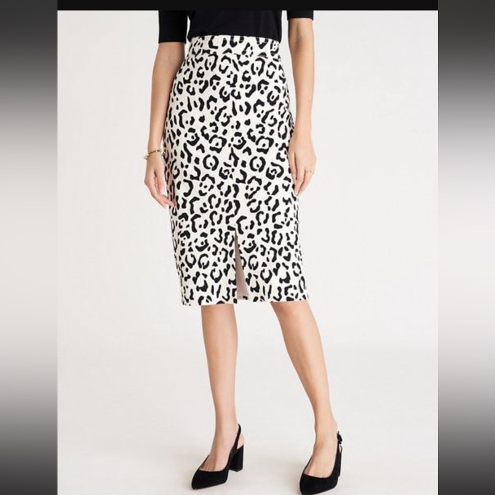 Ann Taylor skirt